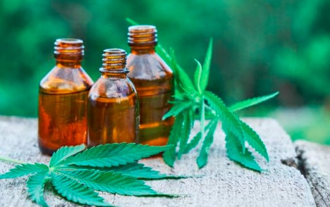 cbd cbd olja herbmed hampfröolja